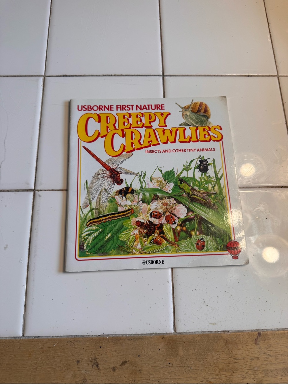 Born Creepy Crawlies Illustrated Nature Book - White, Yellow, Green, Red